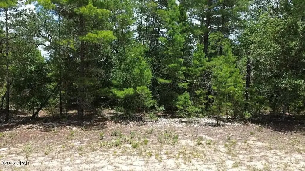 Picture 8