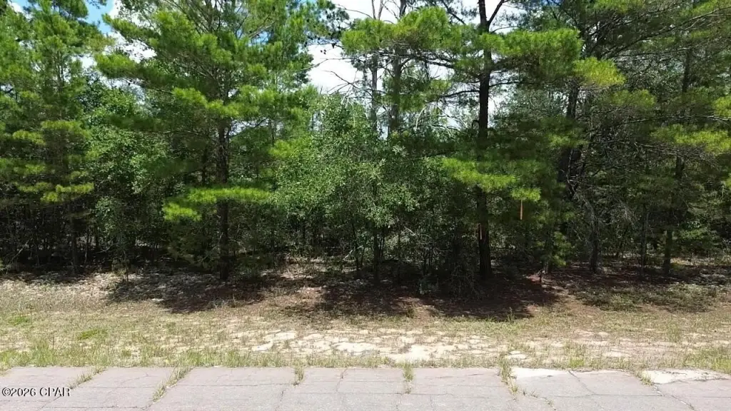 Picture 6