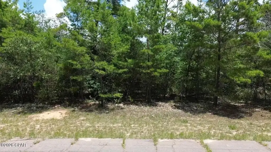 Picture 5