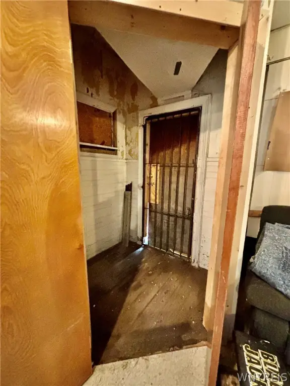 Picture 14