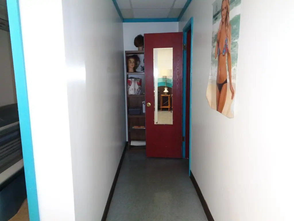 Picture 15