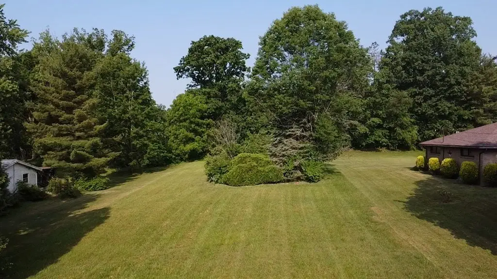 Picture 4