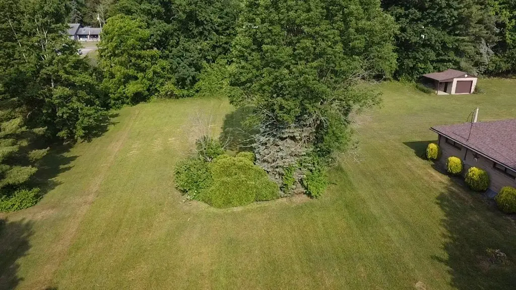 Picture 5