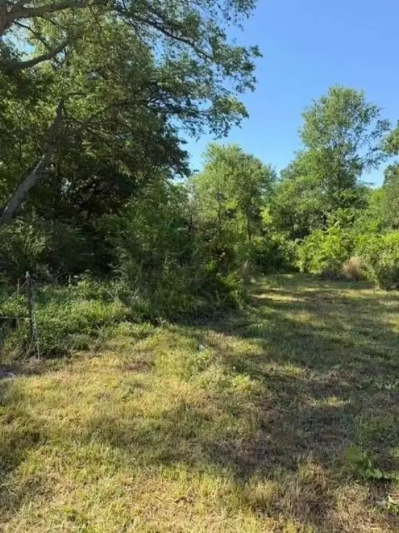 Picture 5