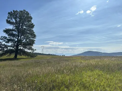 Land Parcel in Kalispell, MT