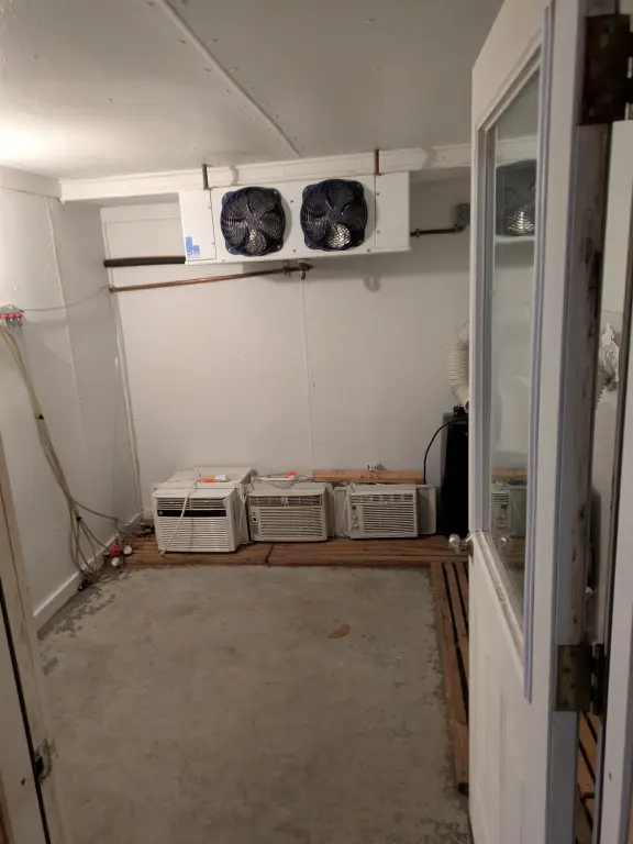 Picture 25