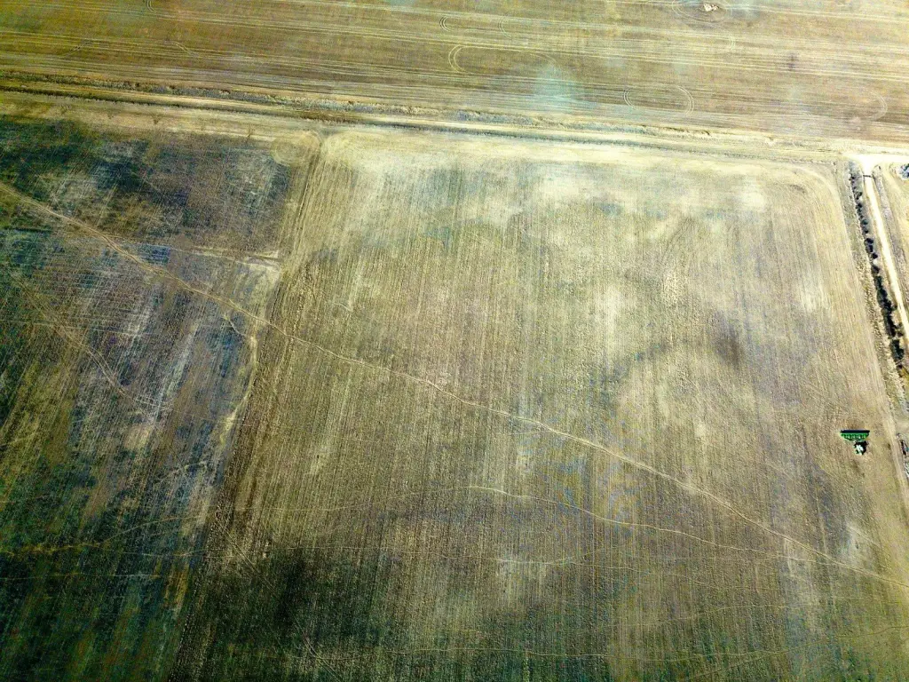Picture 8