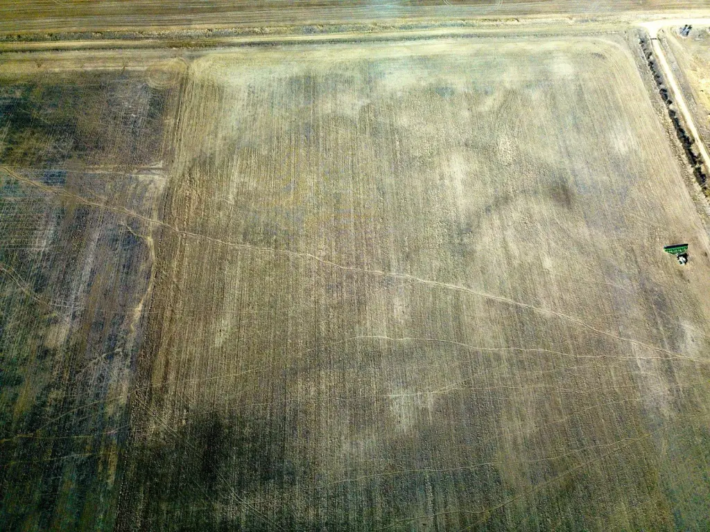 Picture 7