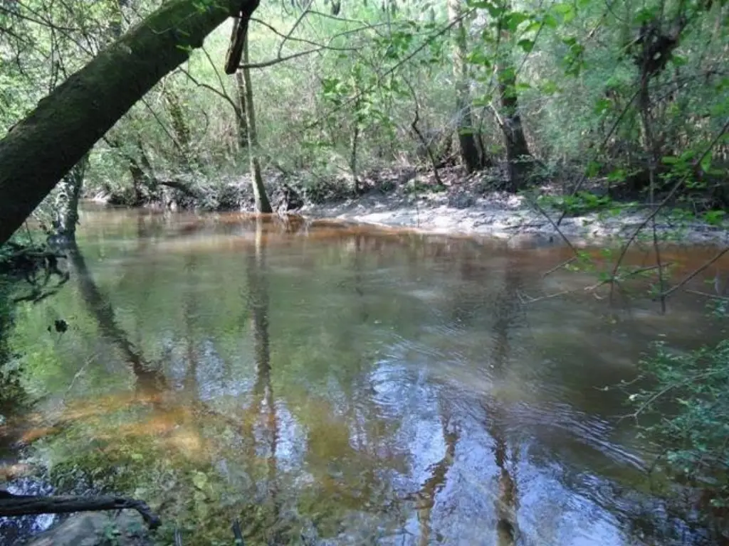 Picture 4