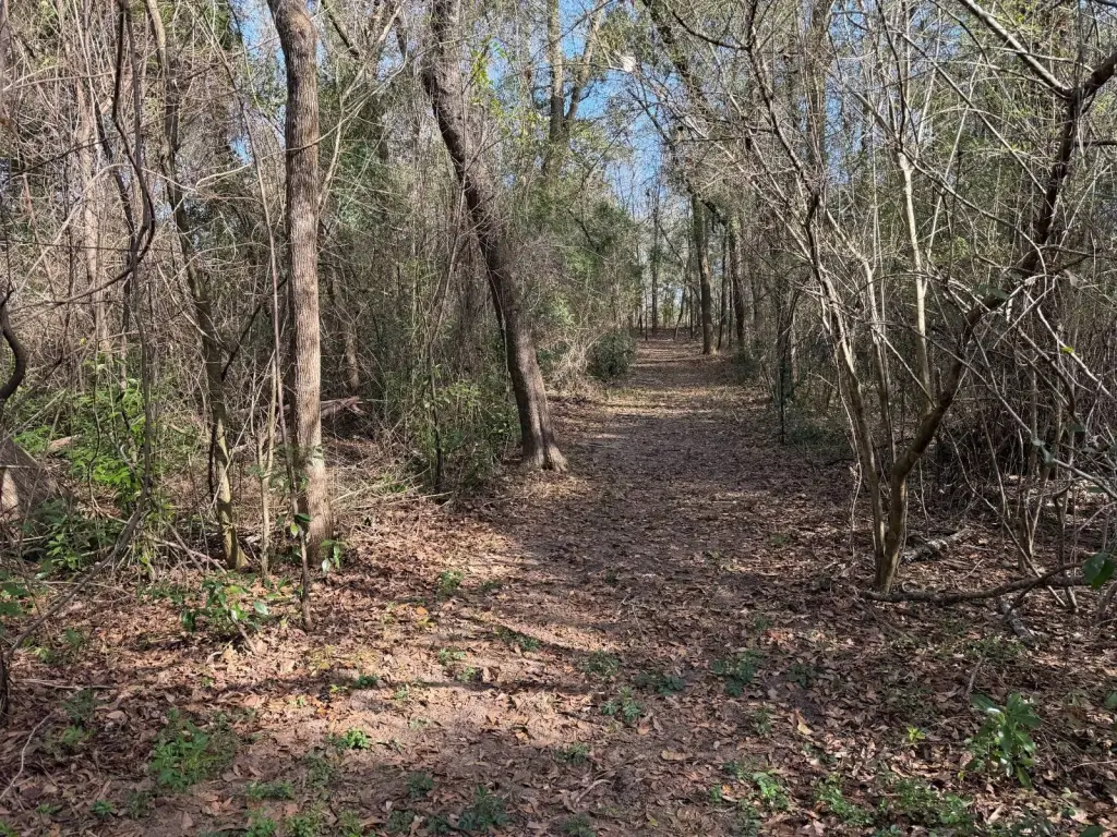 Picture 19