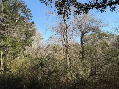 Large Acreage Land in Daphne