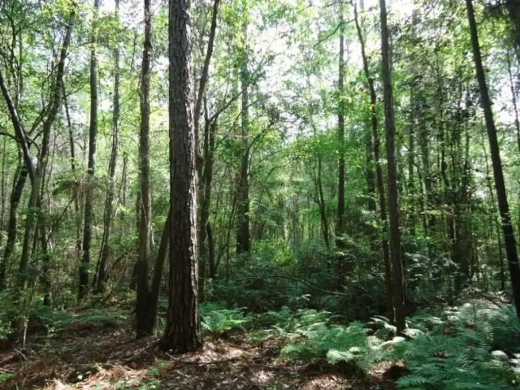 Picture 17