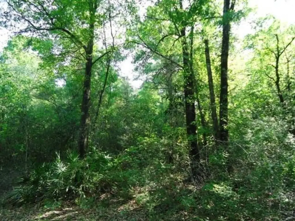 Picture 8