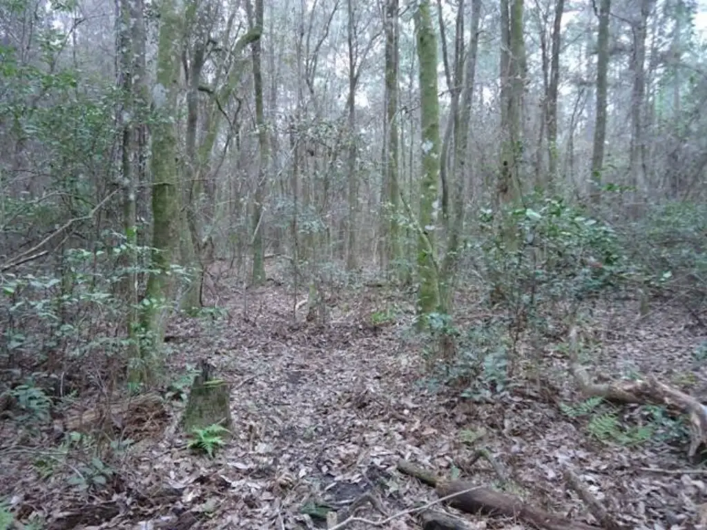 Picture 15