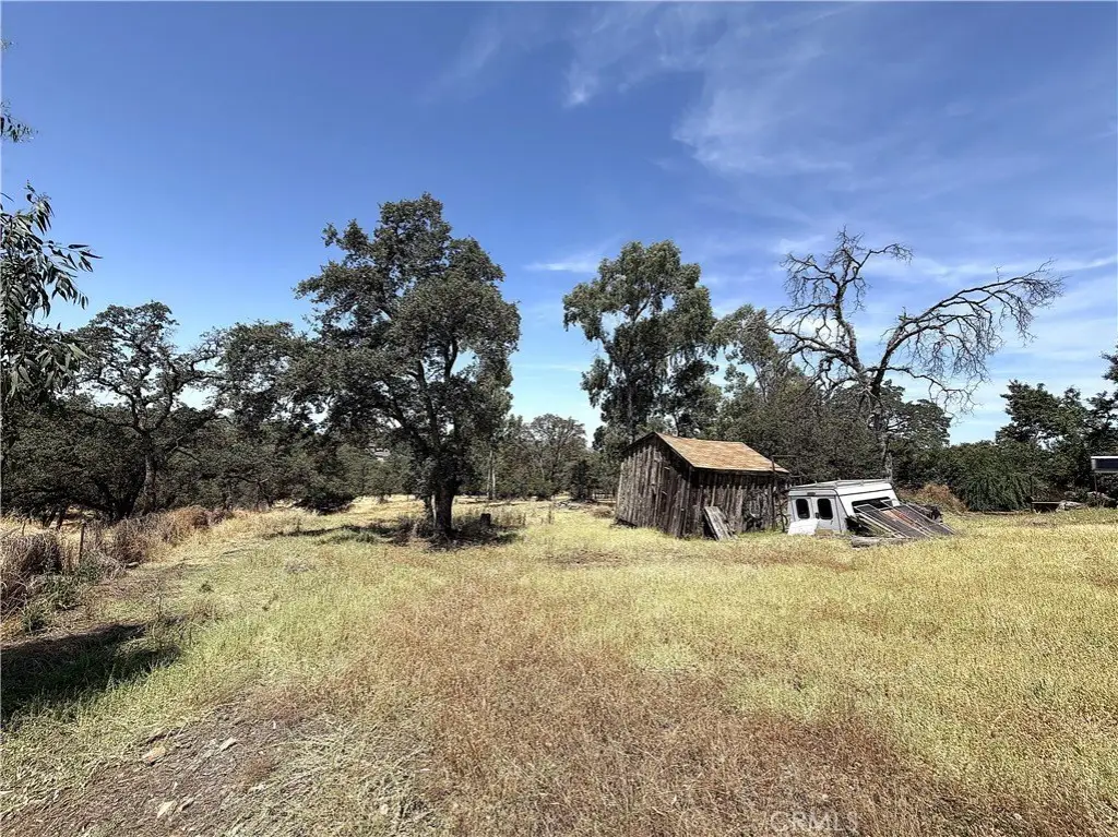 Picture 3