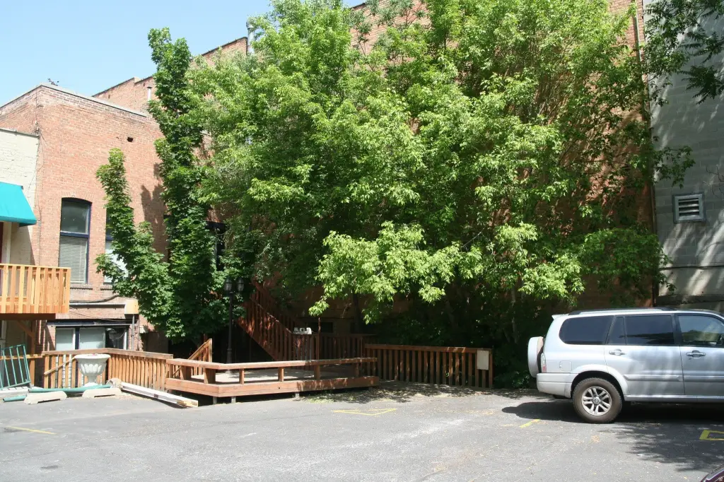 Picture 4