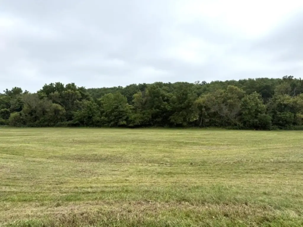 Picture 18