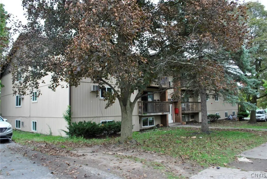 Picture 8