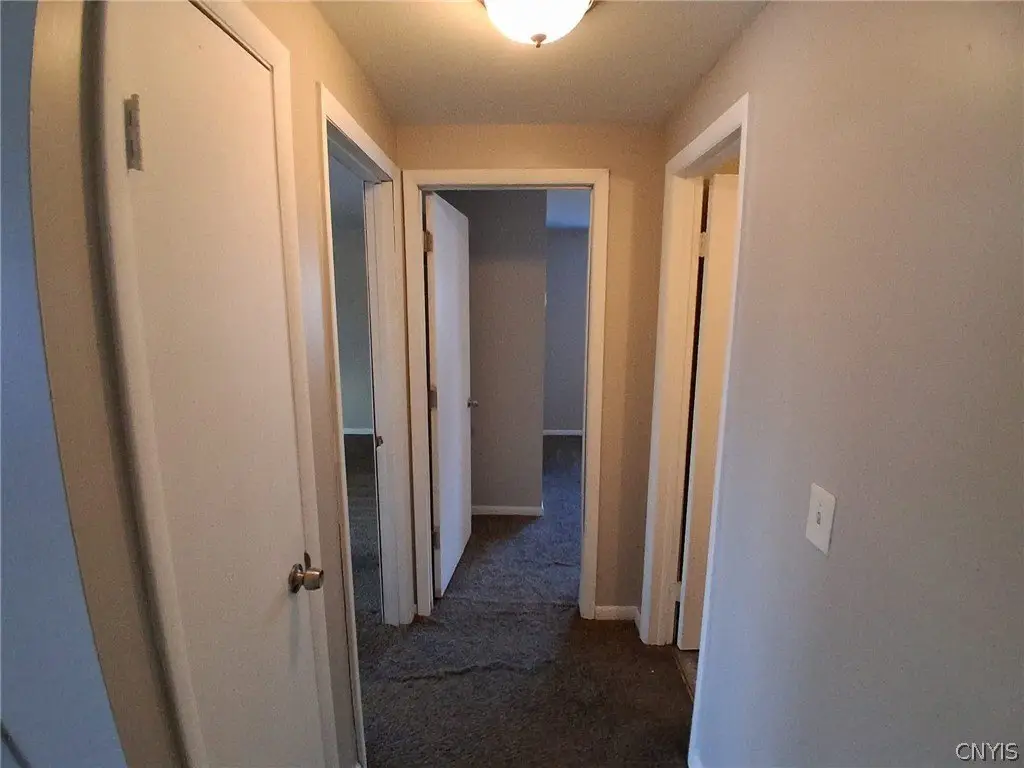 Picture 50