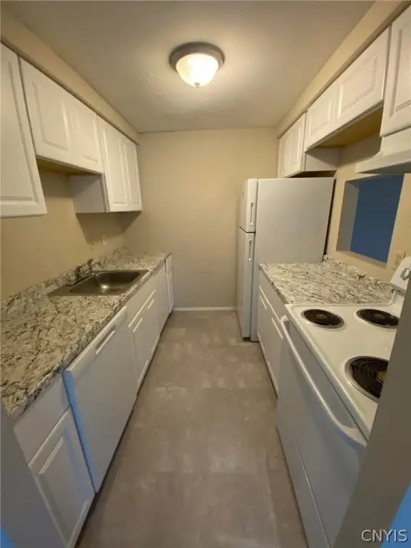 Picture 19