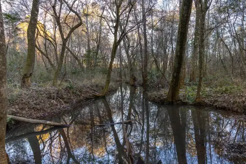 Recreational Land with Utilities in Place