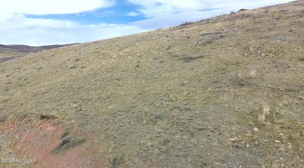Picture 23