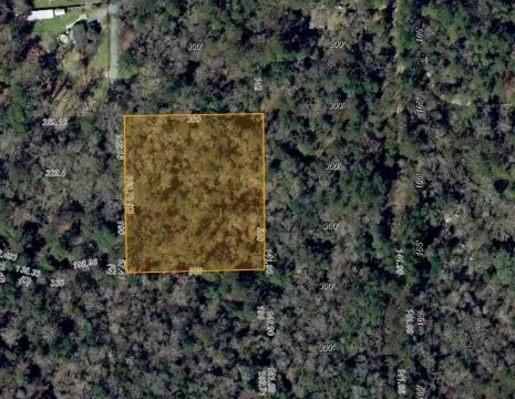 2.8-Acre Wooded Homesite Near Tallahassee