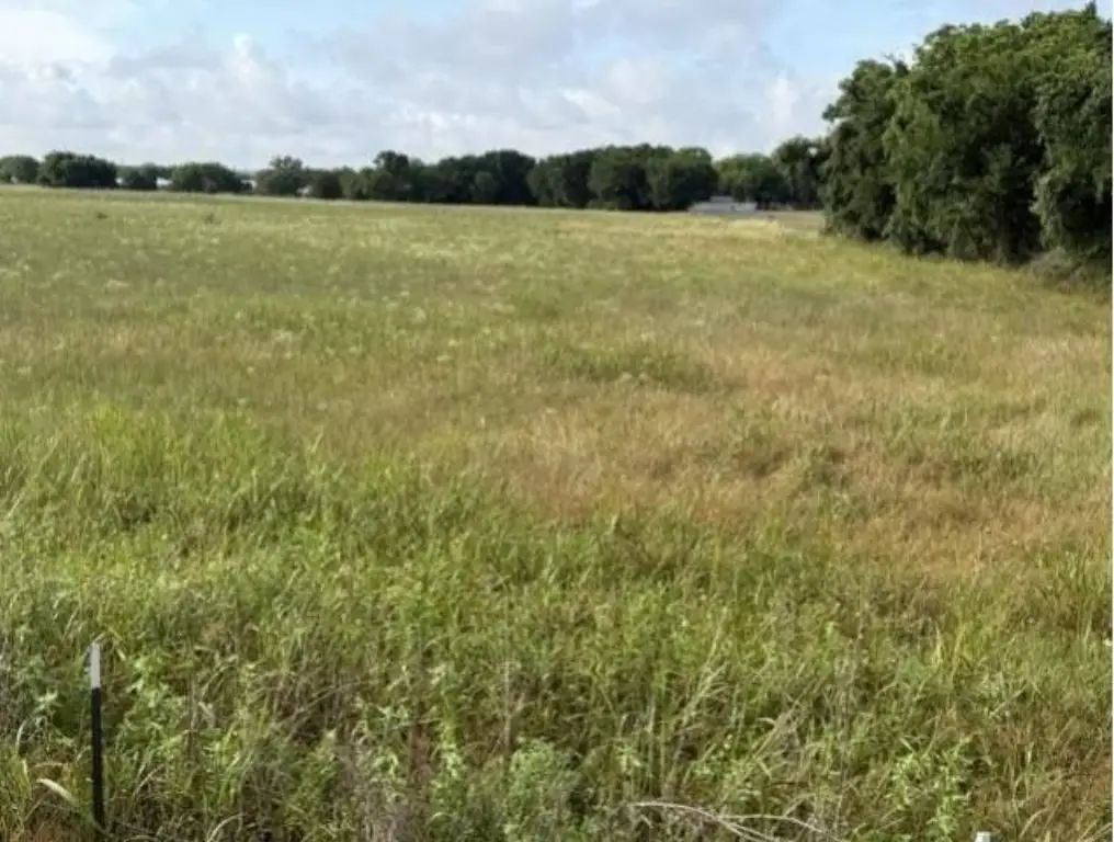 Picture 4