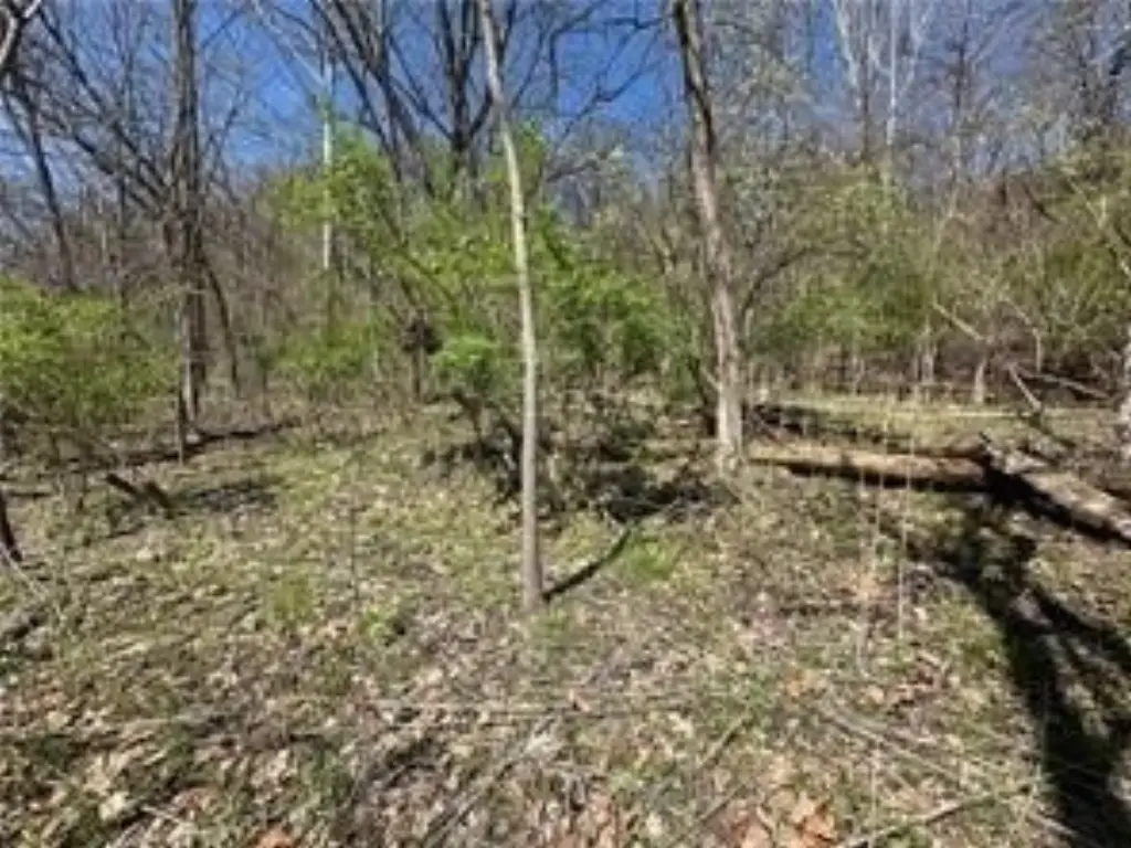 Picture 9