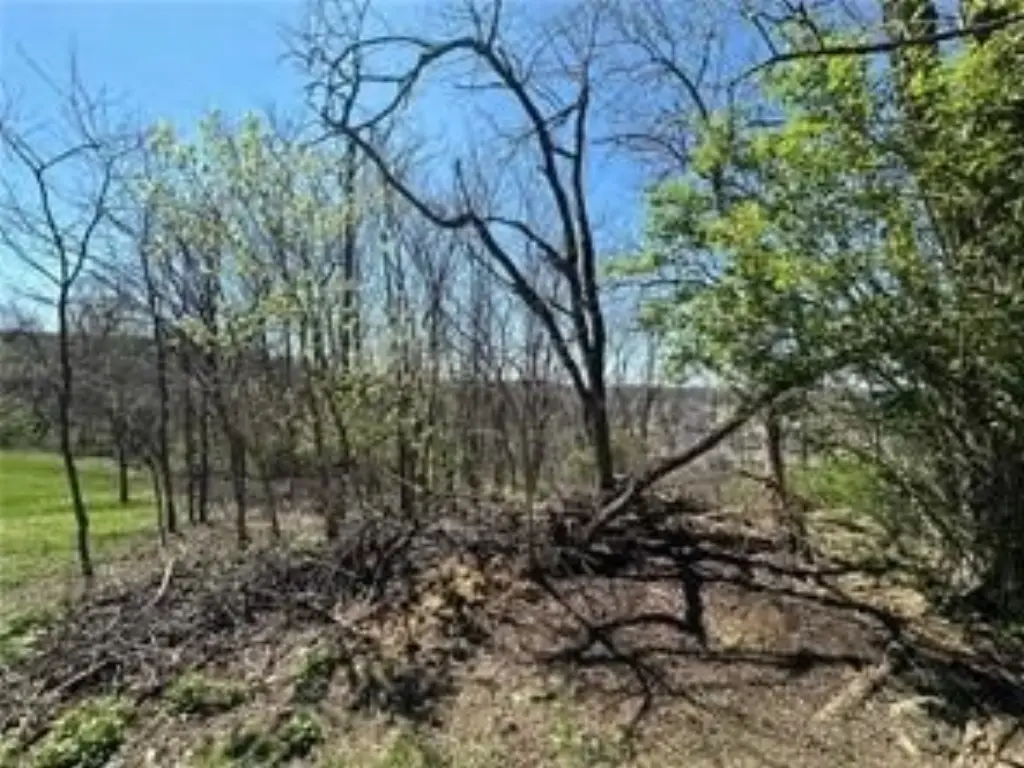Picture 7