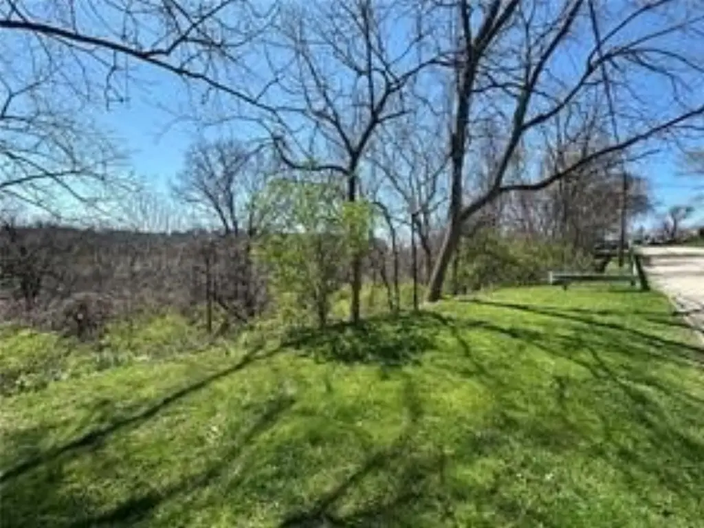 Picture 4