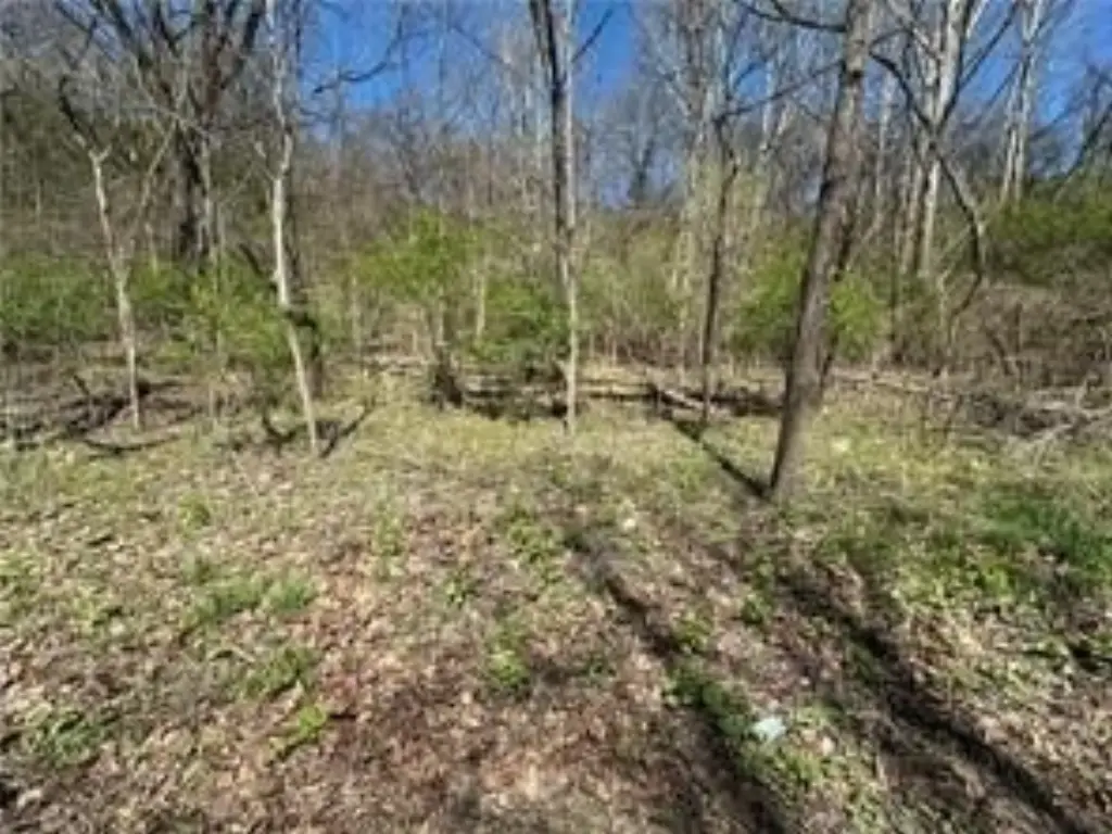 Picture 8