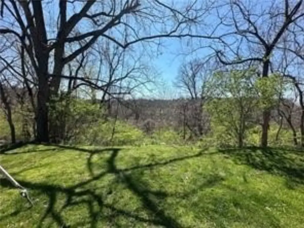 Picture 3