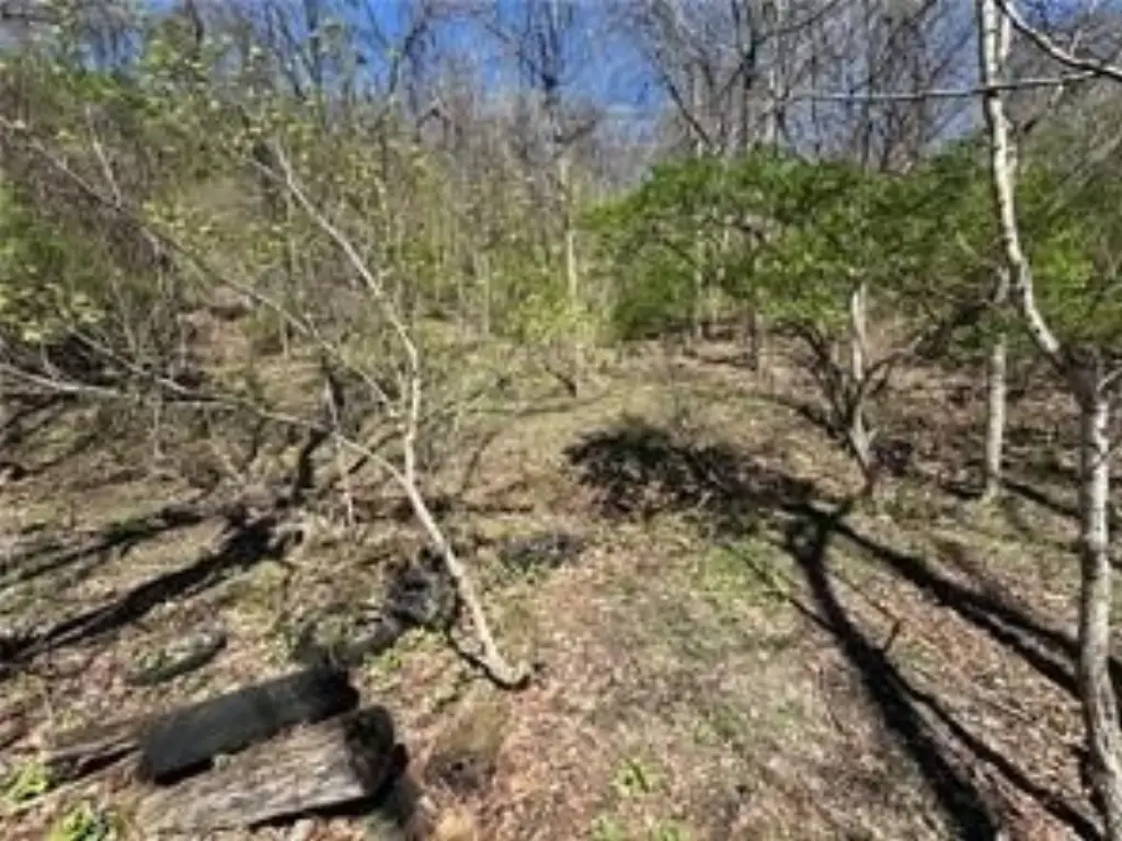 Picture 10