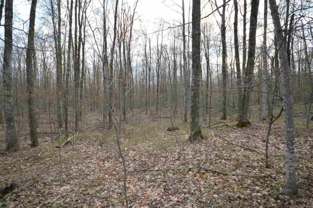 Picture 41