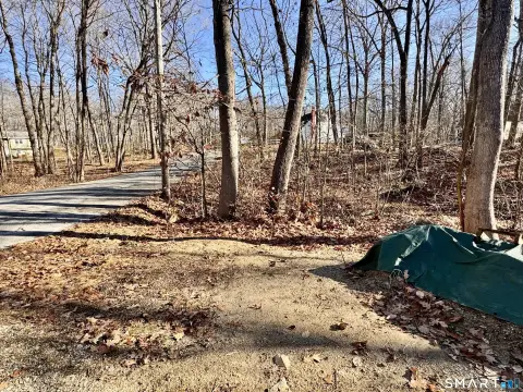 Residential Land in Amston Lake
