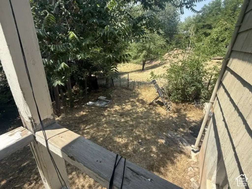 Picture 16