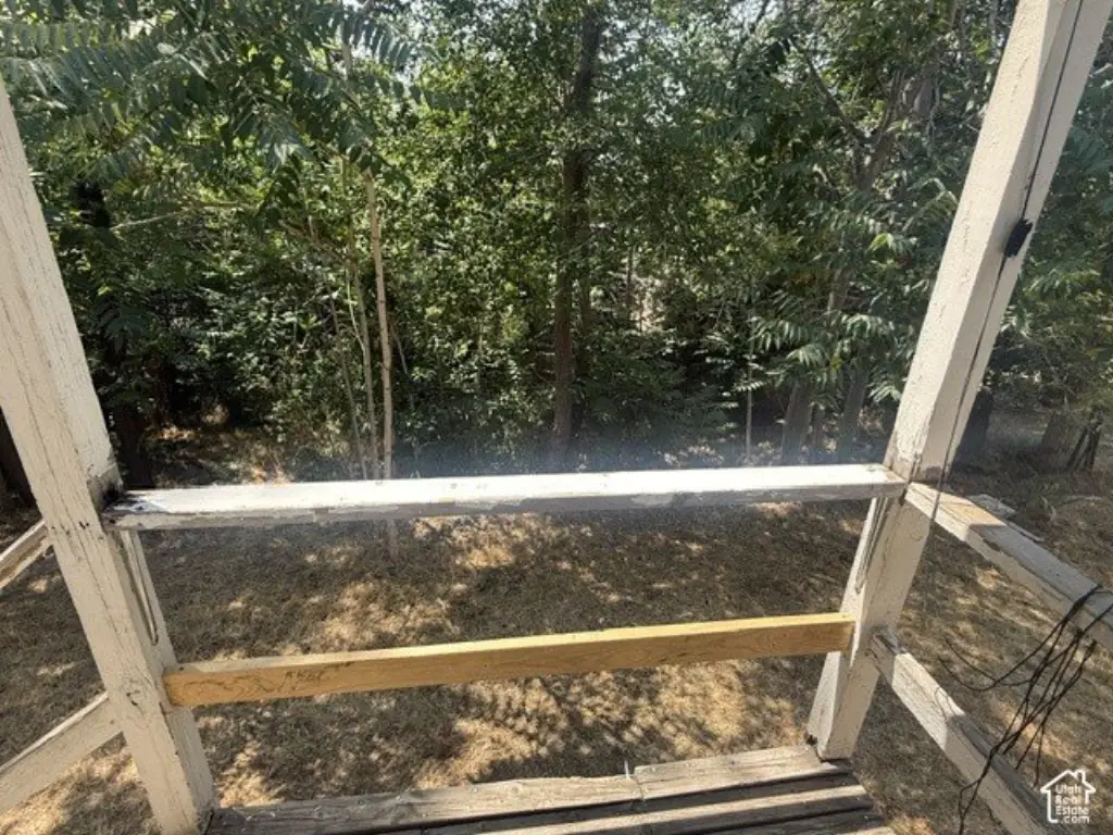 Picture 15
