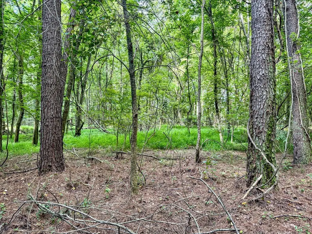 Picture 42
