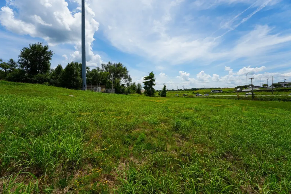 Picture 33