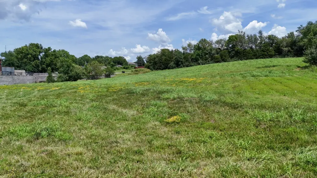 Picture 19