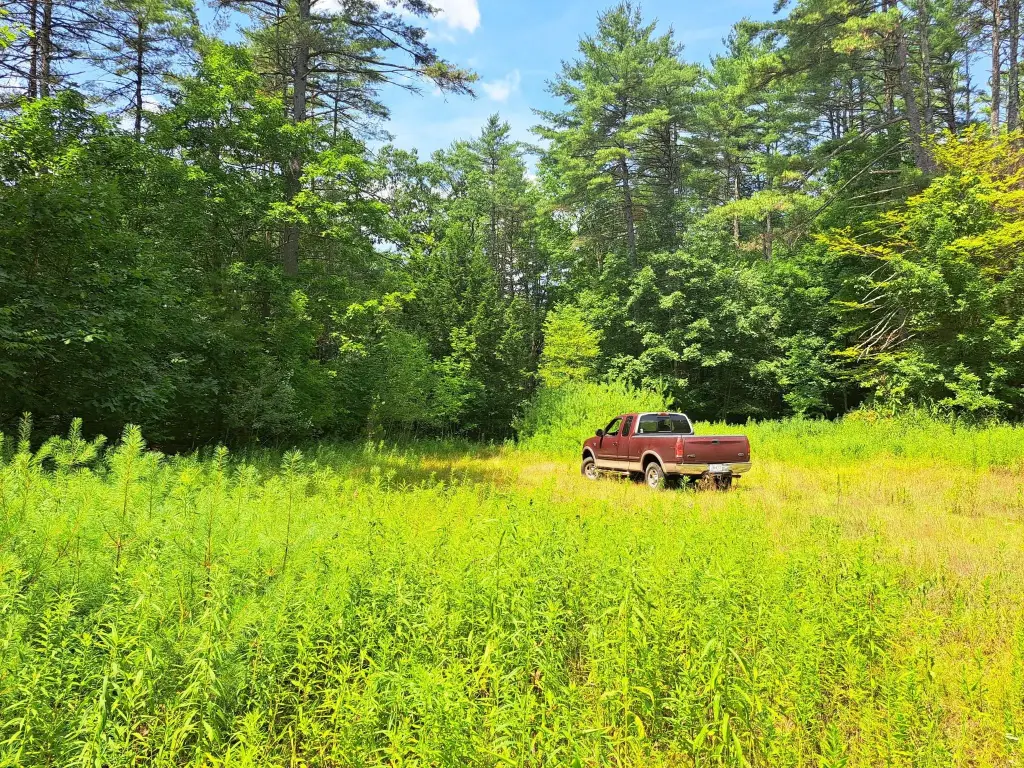 Picture 20