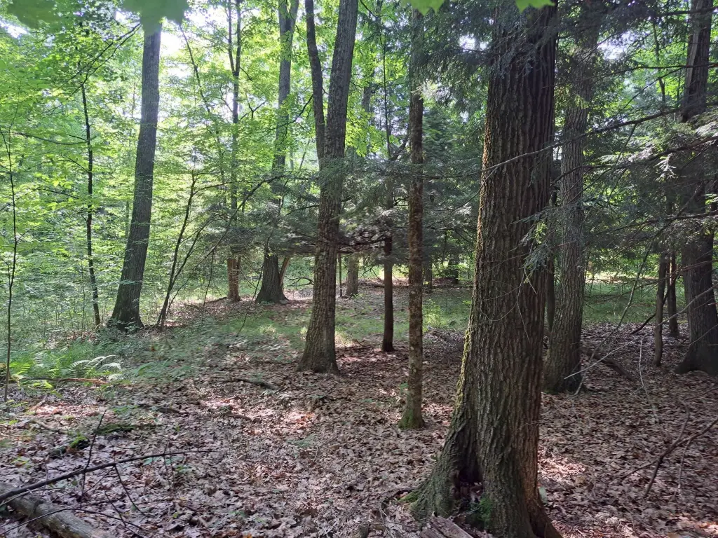 Picture 18