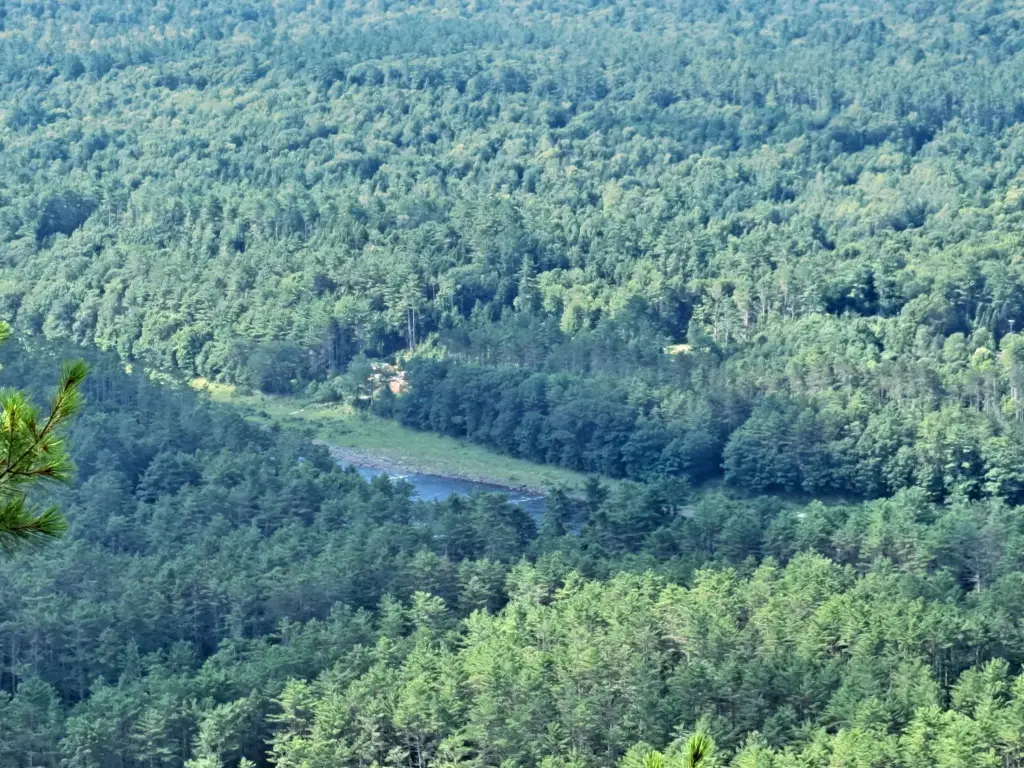 Picture 6