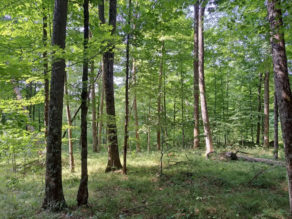 Picture 28