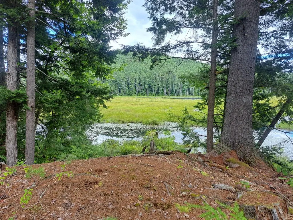 Picture 24