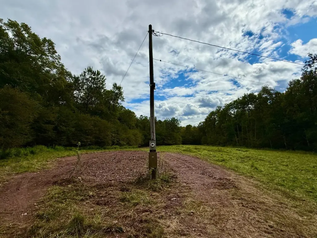 Picture 24