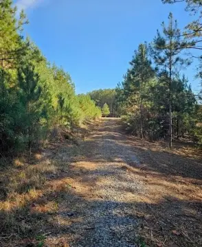 9.69 Acres in North Whitfield