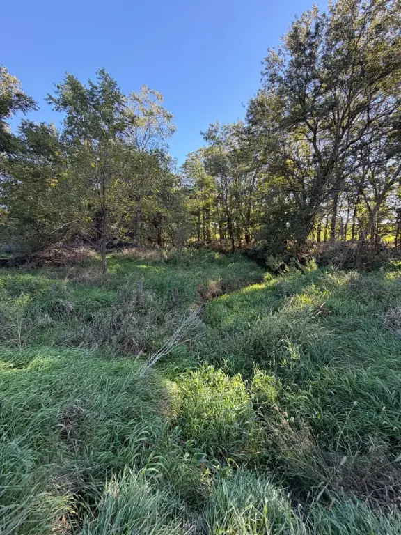 Picture 30