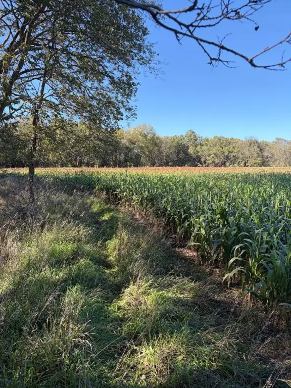 Picture 21